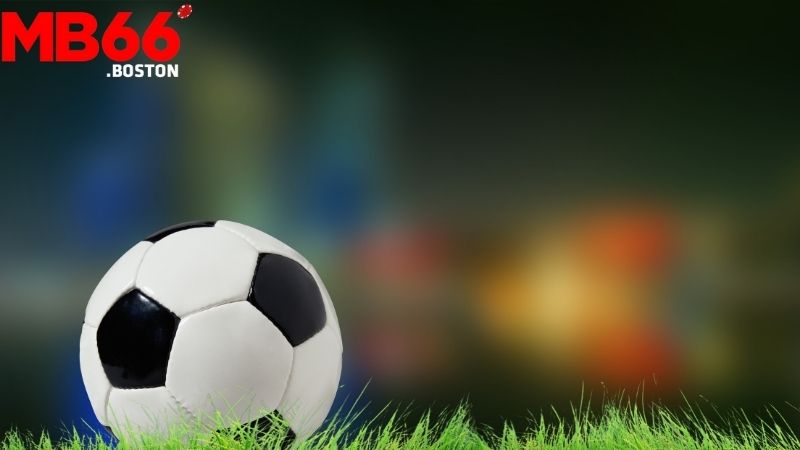 Cách Đọc Kèo Rung: Hướng Dẫn Đọc Kèo Rung Chính Xác 1 Các Loại Kèo Rung Phổ Biến: Làm Chủ Các Loại Kèo